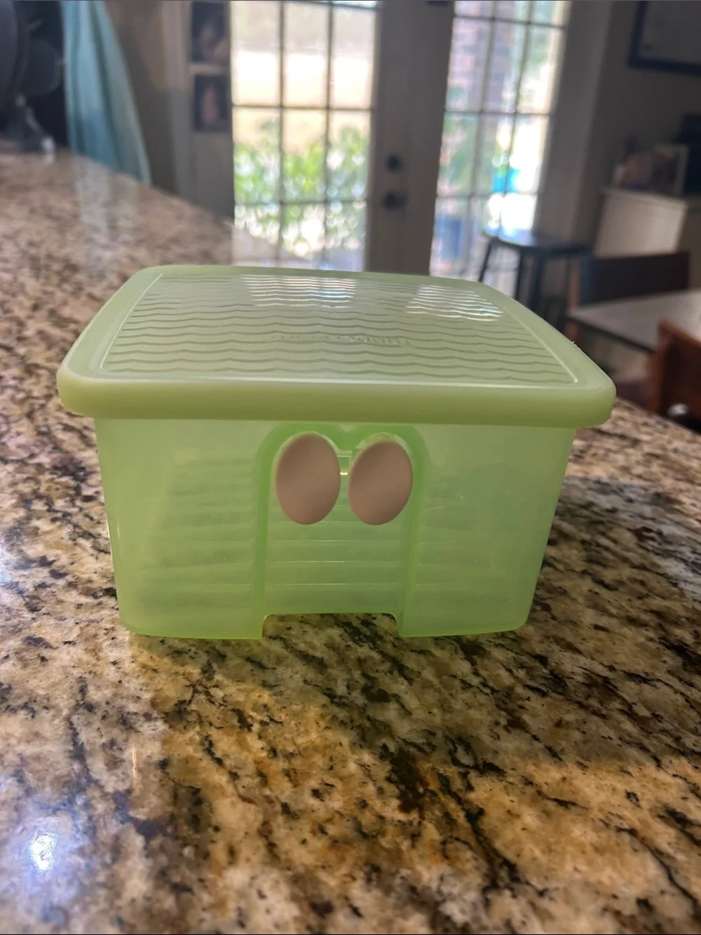 Green Vegetables Food Storage Container with Lid